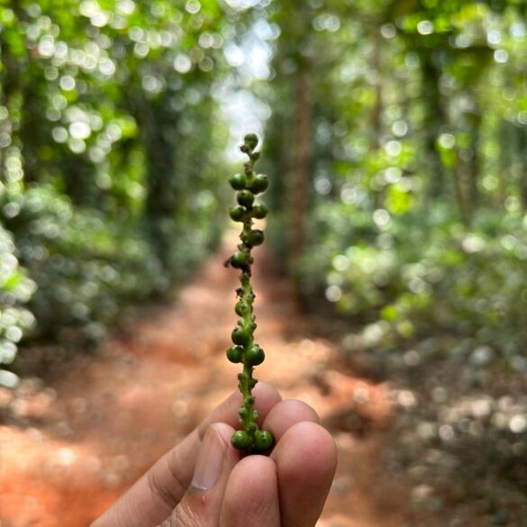 WhatsApp Image 2024-05-14 at 11.07.24 PM WhatsApp Image 2024-05-14 at 11.07.24 PM