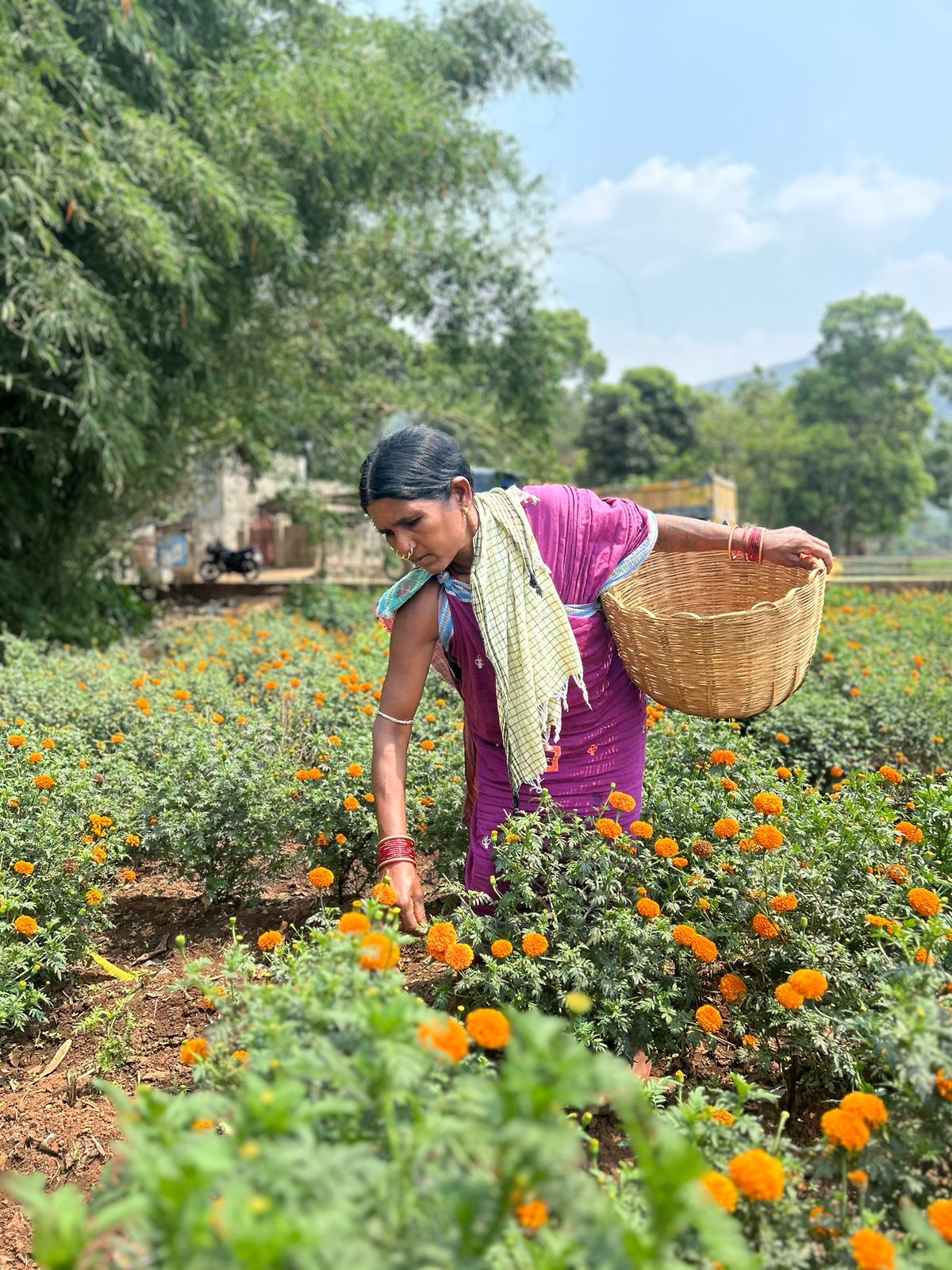 WhatsApp Image 2024-05-30 at 12.47.12