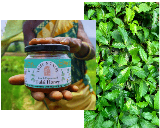 Screenshot from 2024-07-28 22-11-49