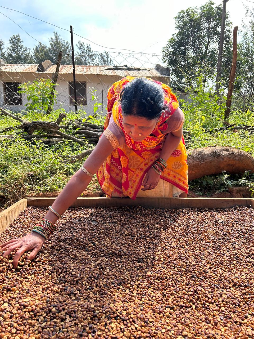 Copy of WhatsApp Image 2024-05-14 at 12.20.59 AM